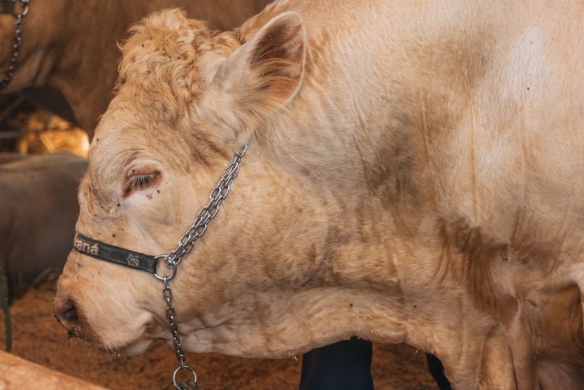 Whatsapp Image 2025 03 21 At 11.30.59 (2)