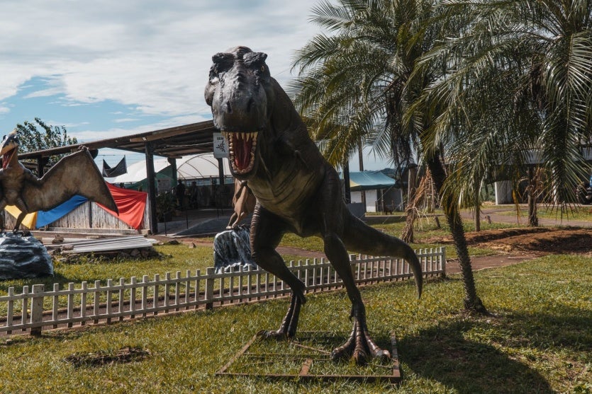 Whatsapp Image 2025 03 21 At 12.37.55 (1)