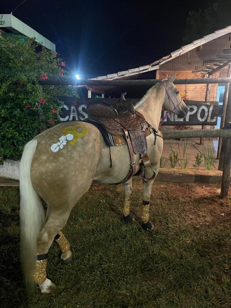 Whatsapp Image 2025 03 21 At 16.12.08