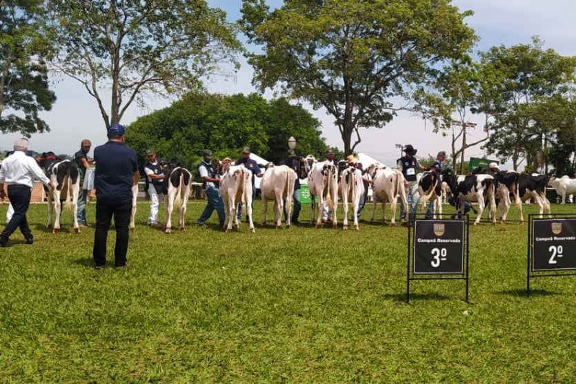 Whatsapp Image 2025 03 23 At 14.53.25