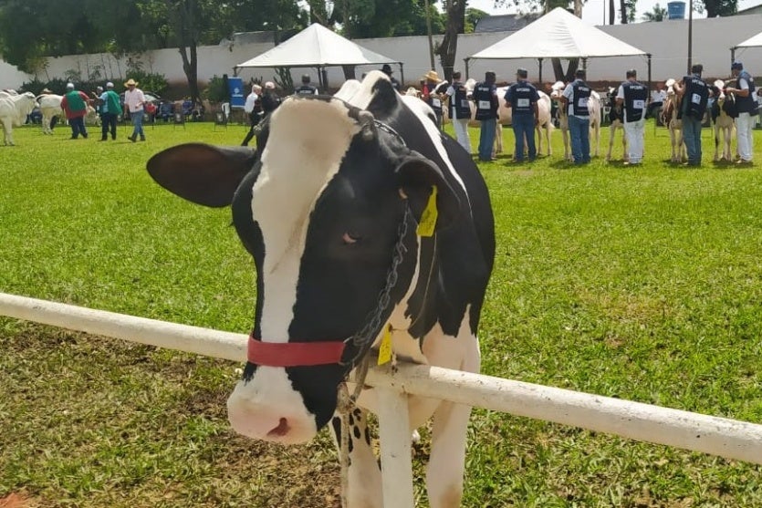 Whatsapp Image 2025 03 23 At 14.53.28