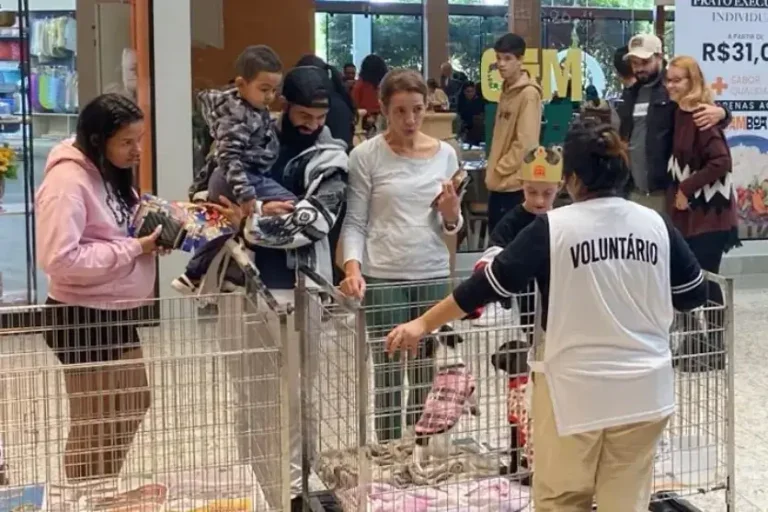 A ONG Sociedade de Amigos dos Animais de Umuarama (Saau) promove uma feirinha de adoção no Shopping Palladium no próximo sábado, 30 de março, a partir das 14h.