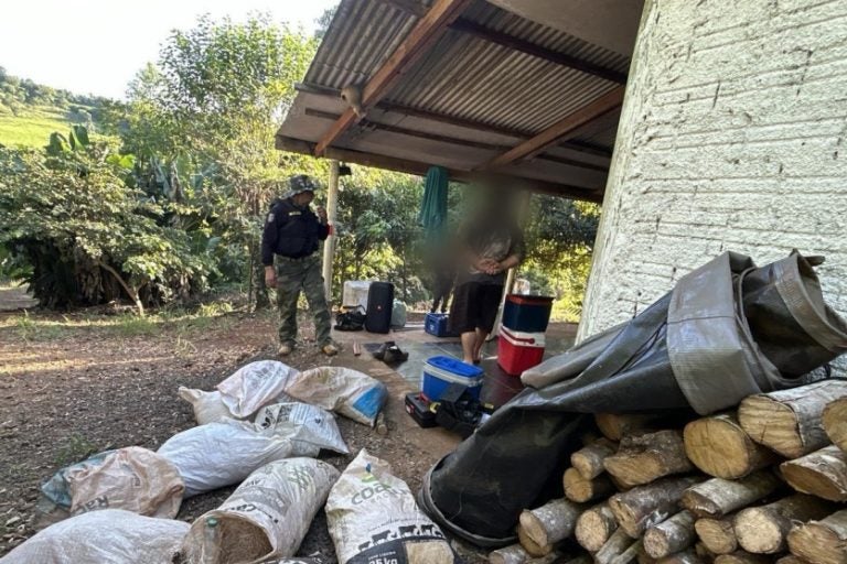 IAT aplicou R$ 12,7 milhões em multas por crimes ambientais entre novembro e fevereiro.
