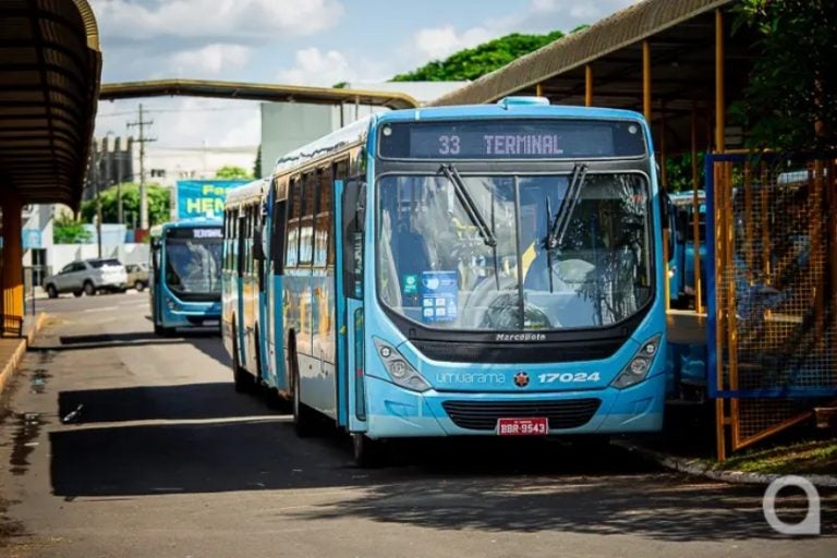 Transporte Público: o município será dono das circulares e contratará uma empresa para fazer a gestão do serviço.