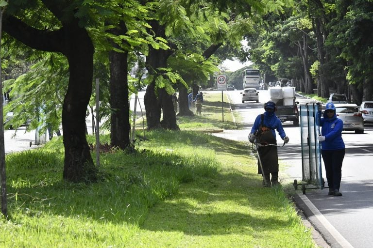 Umuarama Intensifica Rocada Com Contratacao De Terceirizada