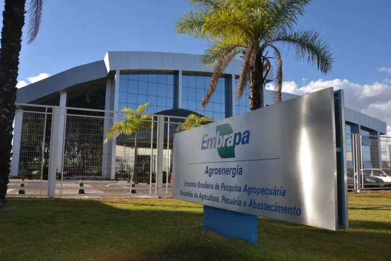 Cargos Remanescentes Do Concurso Da Embrapa São Divulgados