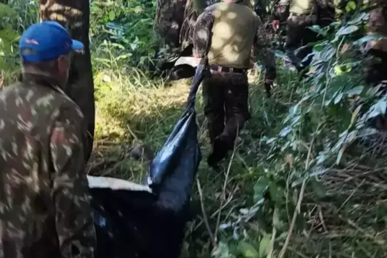 Homem é morto por onça