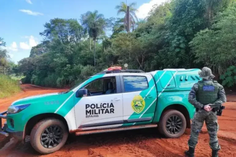 Homem é preso: A ação resultou na aplicação de um Auto de Infração Ambiental no valor de R$ 42 mil.