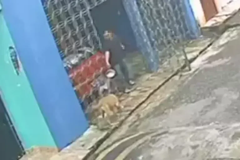 Homem joga água quente em cão: o crime foi flagrado por câmeras de segurança.