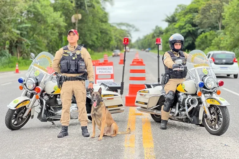 Pmpr Anuncia Que Policiamento Será Reforçado Durante Feriado