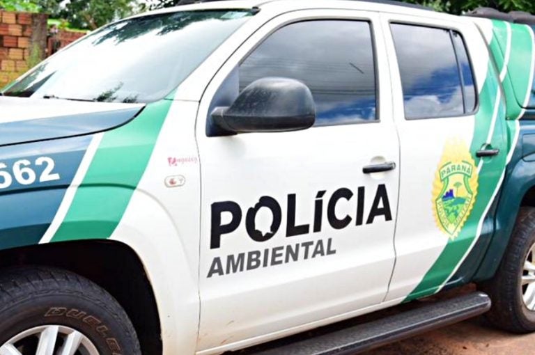 Policiais De Umuarama Prendem Condenado Por Tráfico E Furto