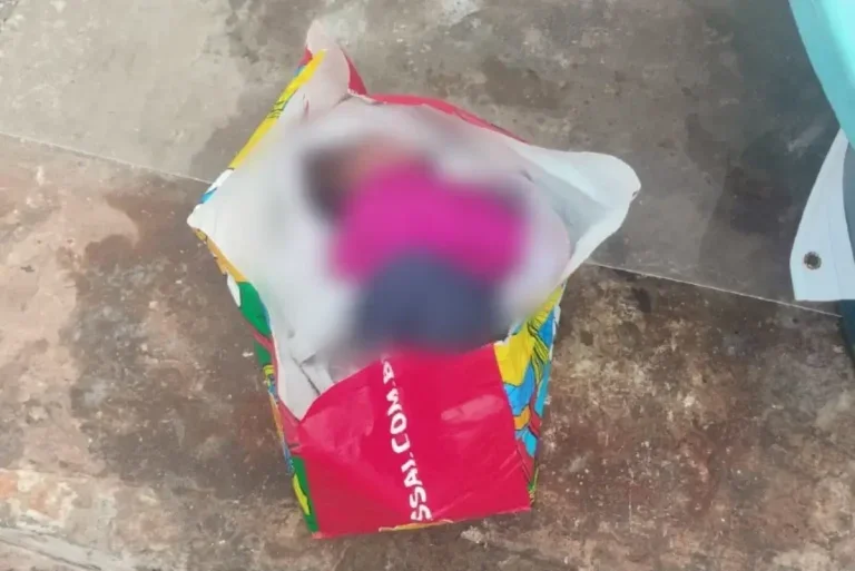 Recém Nascida é Salva Por Policiais Após Ser Abandonada Em Sacola No Lixo