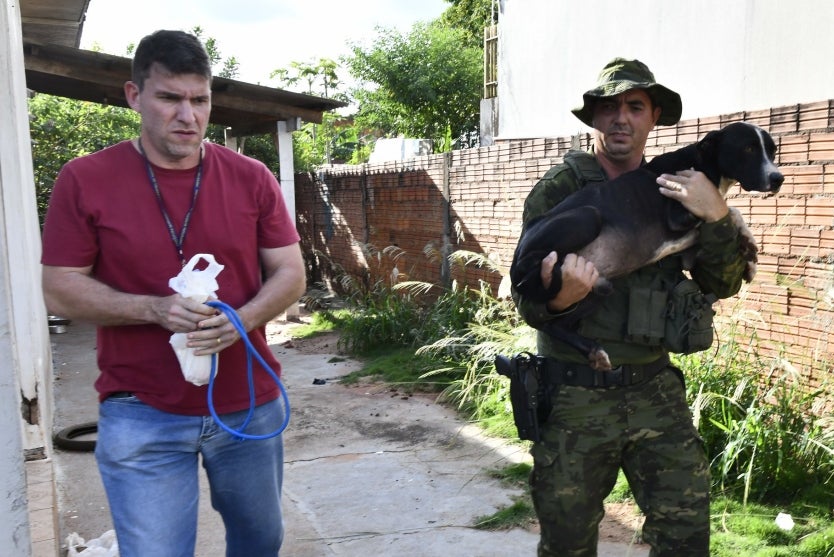Tutores Que Abandonaram Cães Podem Receber Multa De R$ 10 Mil (3)
