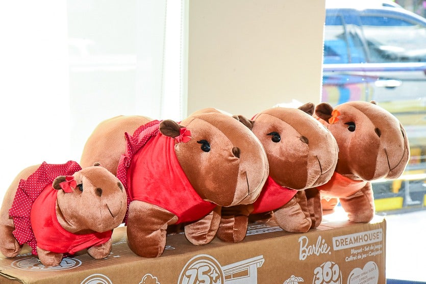 Whatsapp Image 2025 04 08 At 12.05.24