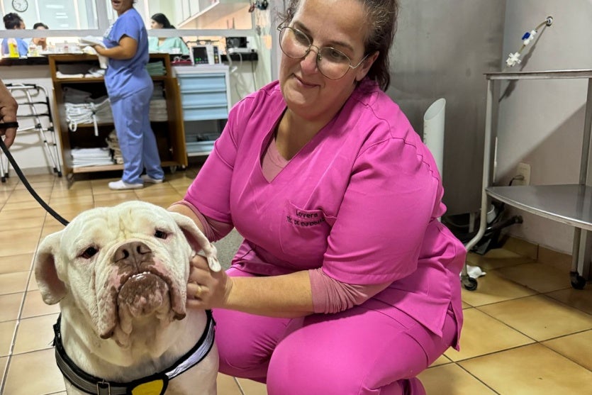 Whatsapp Image 2025 04 08 At 15.43.11 (3)