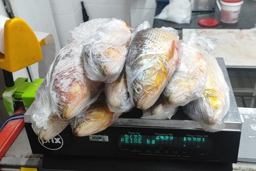 Whatsapp Image 2025 04 18 At 08.01.21 (2)