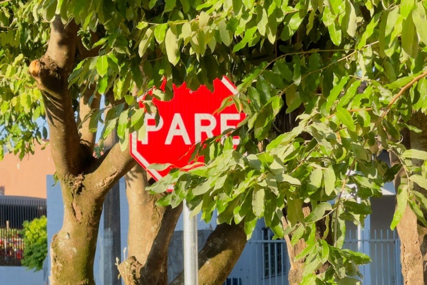 Whatsapp Image 2025 04 20 At 17.11.03