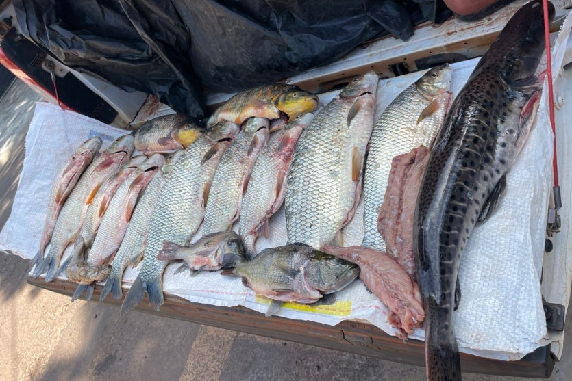 Whatsapp Image 2025 04 23 At 07.01.31