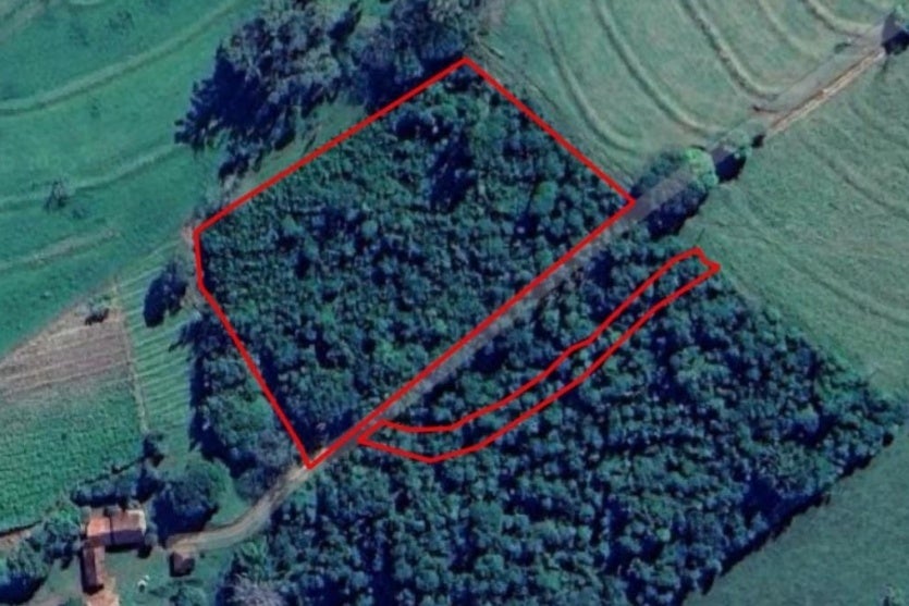 área De Desmatamento Ilegal Em Iporã 01