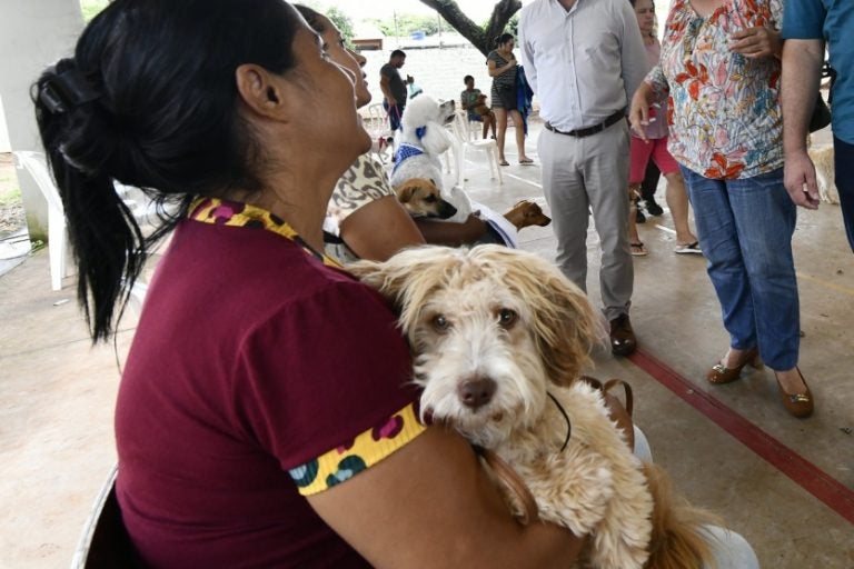 Castração gratuita de pets: a esterilização será feita na clínica veterinária da Saau.