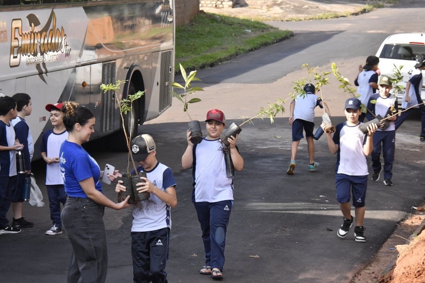 Alunos Auxiliam No Plantio De árvores Em área De Erosão (2)
