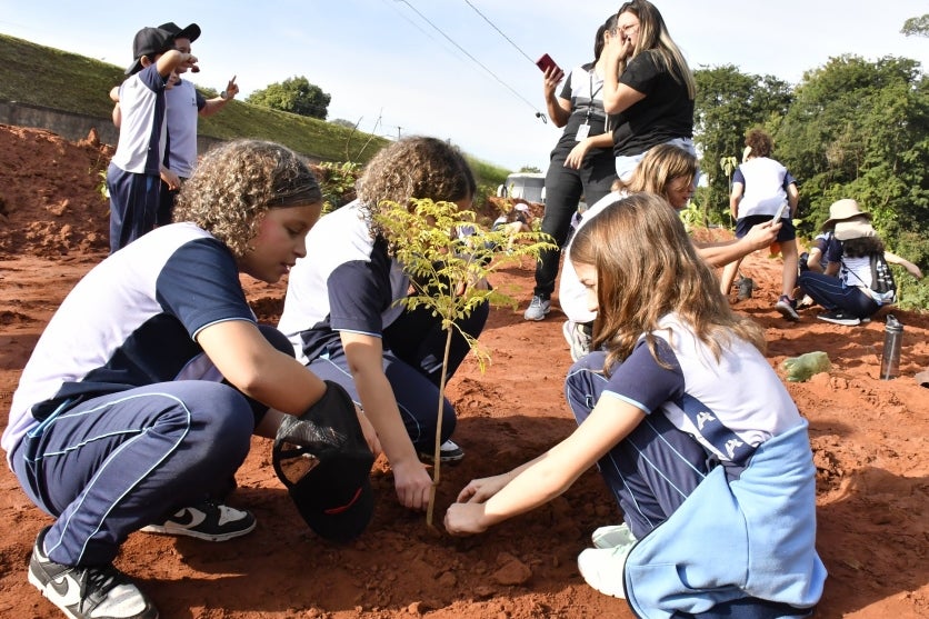 Alunos Auxiliam No Plantio De árvores Em área De Erosão (3)