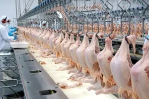 China e UE suspendem: a suspensão das exportações é de 60 dias e representa um risco econômico para o setor