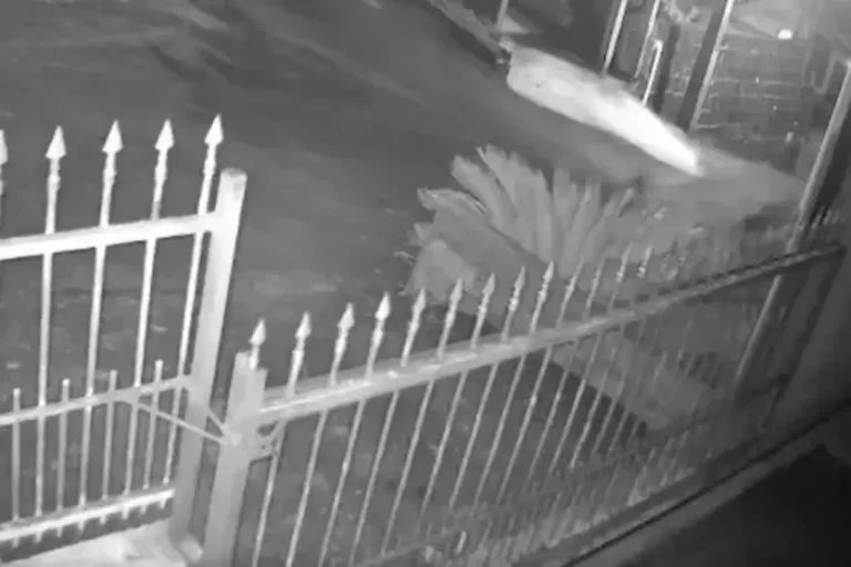 Criança morre: