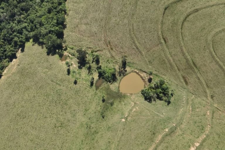 Fazenda Em Maria Helena é Autuada Em R$ 30 Mil Por Danos Ambientais