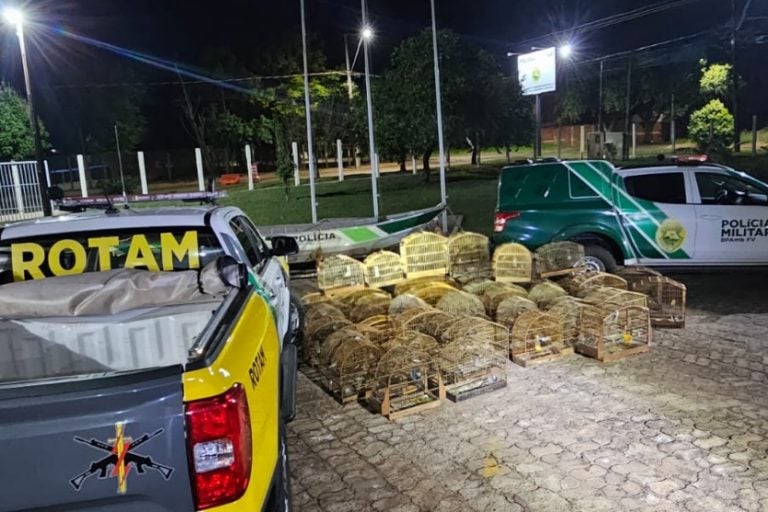 Goioerê: além da prisão, foram lavrados dois termos circunstanciados e cinco autos de infração ambiental.