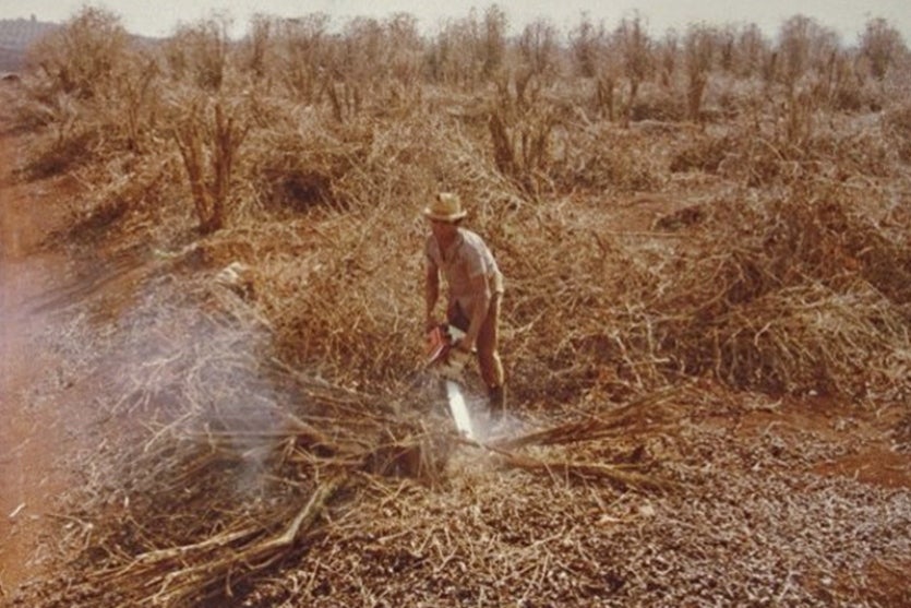 Há 50 Anos, Um Inverno Terrível Provocou A Falência De Umuarama! (3)