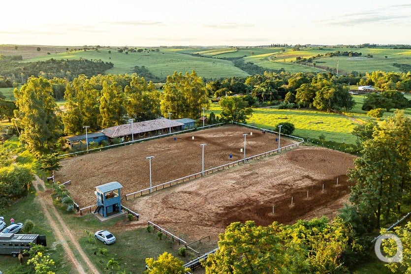 Haras De Umuarama Investe Na Criação E Reprodução De Cavalos (19)