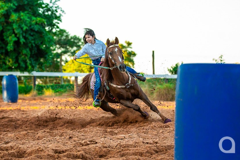 Haras De Umuarama Investe Na Criação E Reprodução De Cavalos (7)