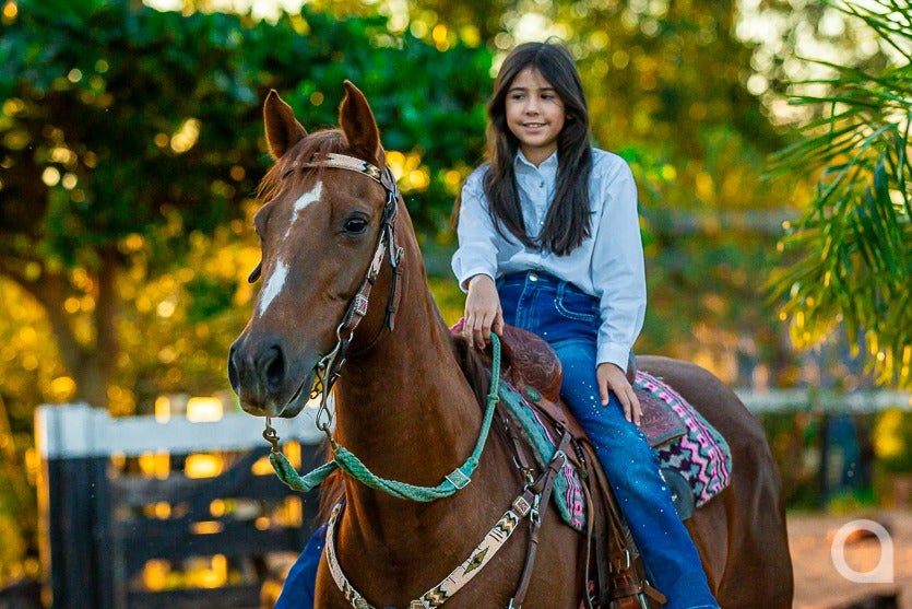Haras De Umuarama Investe Na Criação E Reprodução De Cavalos (9)