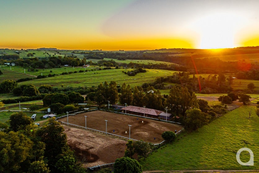 Haras De Umuarama Investe Na Criação E Reprodução De Cavalos(4)