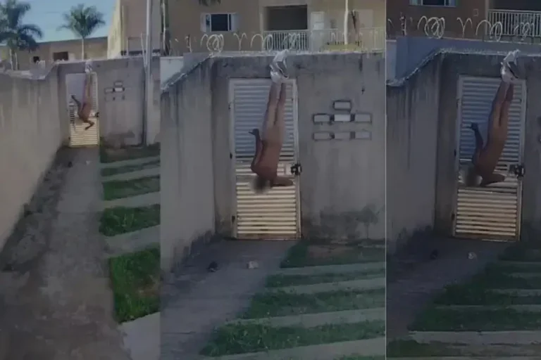 Homem Tenta Invadir Casa Da Ex E Fica Pendurado Pela Calça