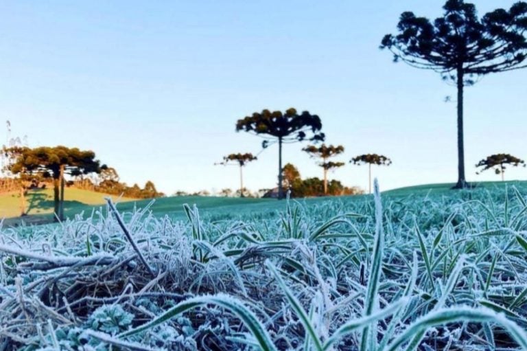 Idr Paraná E Simepar Iniciam Divulgação Do Alerta Geada Hoje