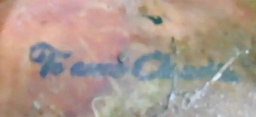 Iml Divulga Tatuagem Para Identificar Corpo Encontrado No Lago 11