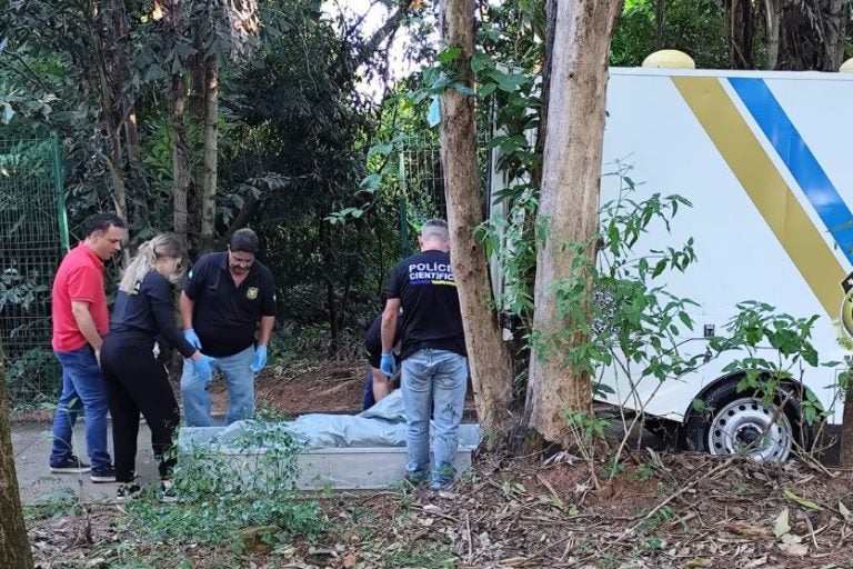 Iml Tentará Identificar Corpo Encontrado No Bosque Dos Xetá