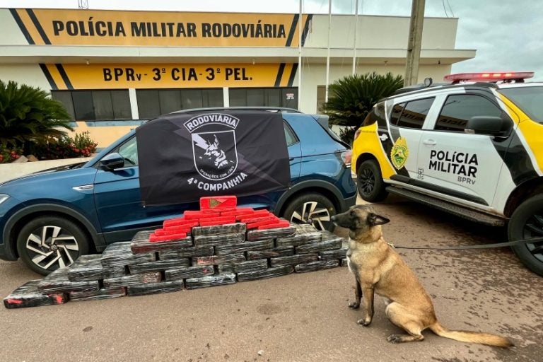 Maconha é apreendida: a apreensão foi realizada após o condutor tentar fugir em alta velocidade.