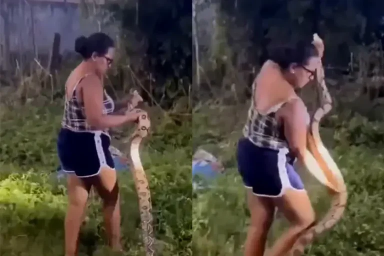Mulher Pega Cobra
