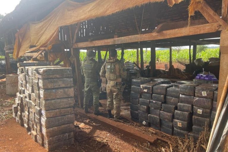 Pm E Pf Apreendem Quase 3 Toneladas De Maconha Em Propriedade Rural