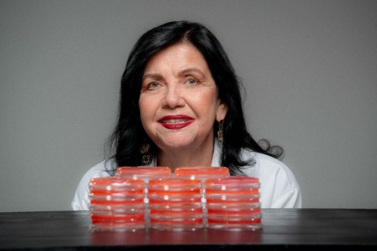 Paranaense Mariangela Hungria Recebe O Nobel Da Agricultura (1)