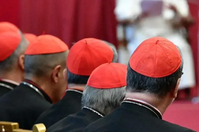 Sete Cardeais Brasileiros Estão Entre Os Cotados Para O Papado