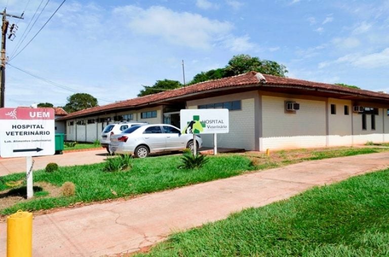 Uem De Umuarama Sedia Simpósio De Medicina Veterinária