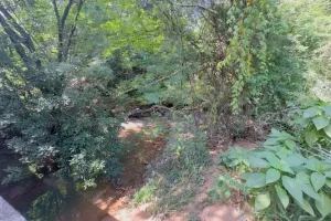 Umuarama Corpo Em Decomposicao E Localizado No Lago Aratimbo