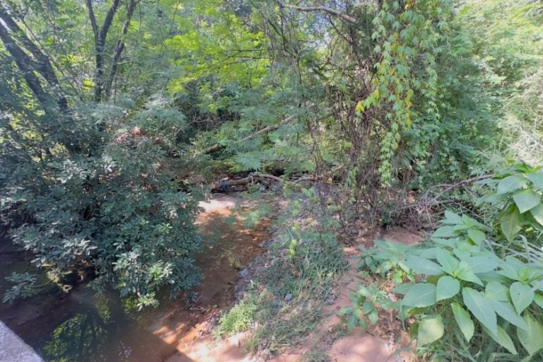 Umuarama Corpo Em Decomposição é Localizado No Lago Aratimbó