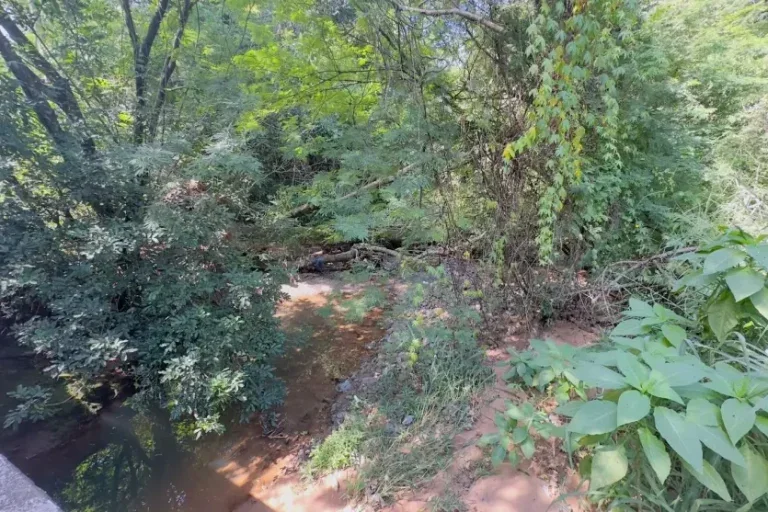 Umuarama Corpo Em Decomposicao E Localizado No Lago Aratimbo