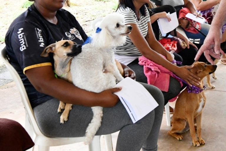 Umuarama Inscrição Para Castração Gratuita De Pets Será Em 26