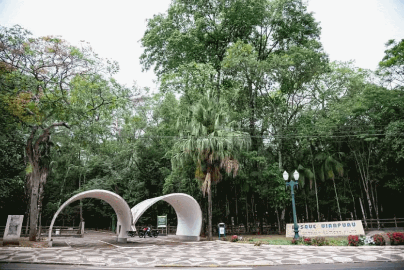 Umuarama é Uma Das Sete Metrópoles Mais Arborizadas Do Brasil! (1)